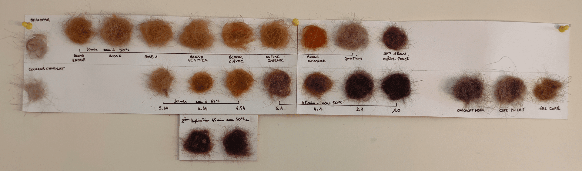 Nuancier de couleurs végétales pour cheveux
